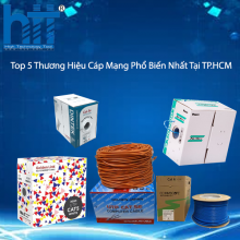 Top 5 Thương Hiệu Cáp Mạng Phổ Biến Nhất Tại TP.HCM